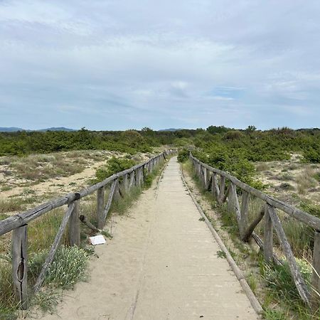 Il Mio Piccolo Angolo Di Mare Viareggio Exterior foto